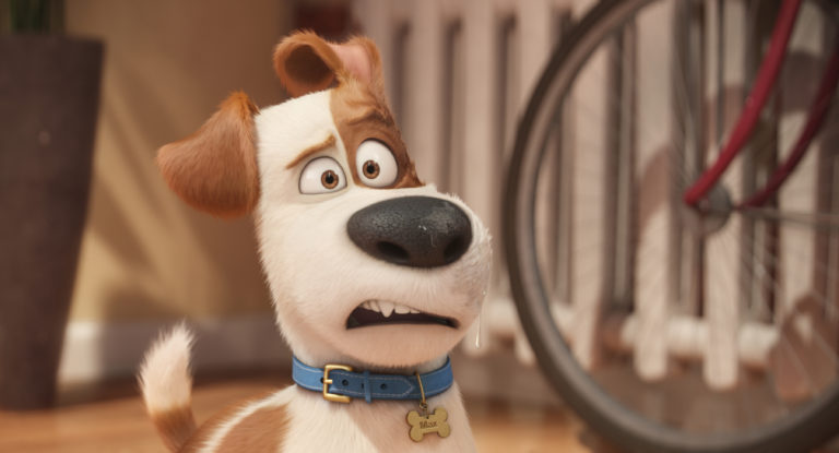 Pets – A Vida Secreta dos Bichos estreia com grande sucesso nos EUA!