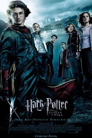 Poster for the movie "Harry Potter e o Cálice de Fogo"