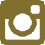 instagram-social-network-logo-of-photo-camera