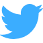 twitter-social-logotype