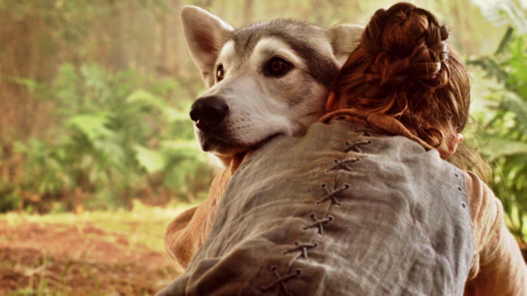 GAME OF THRONES | Entenda o tão aguardado reencontro de Arya na floresta