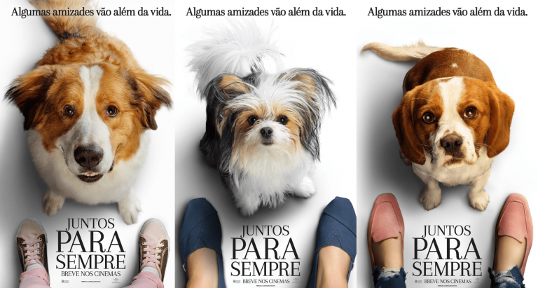 Assista ao primeiro trailer de “Juntos Para Sempre” sequencia de “Quatro Vidas de um Cachorro”
